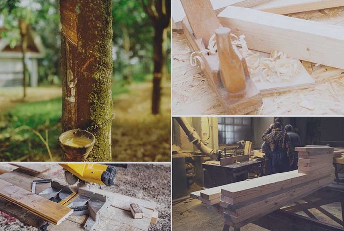Mô phỏng quy trình sản xuất gỗ cao su