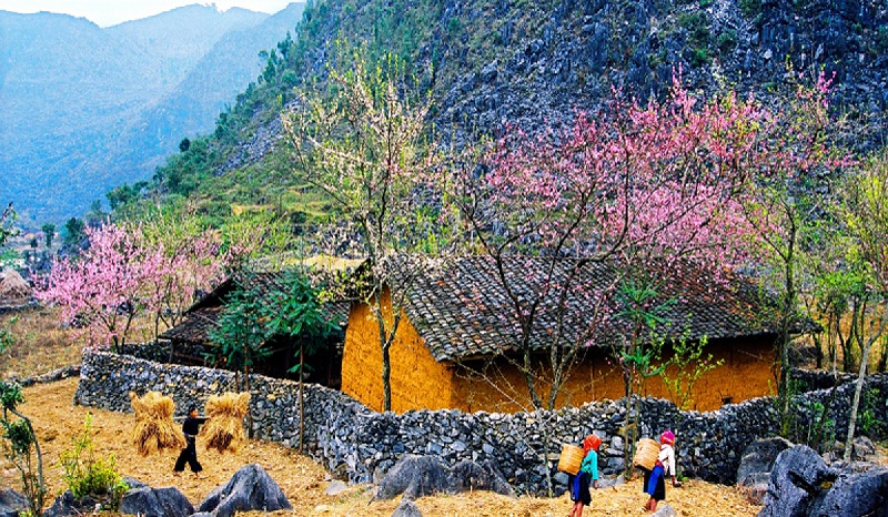 Hàng rào đá ở làng đá Hà Giang