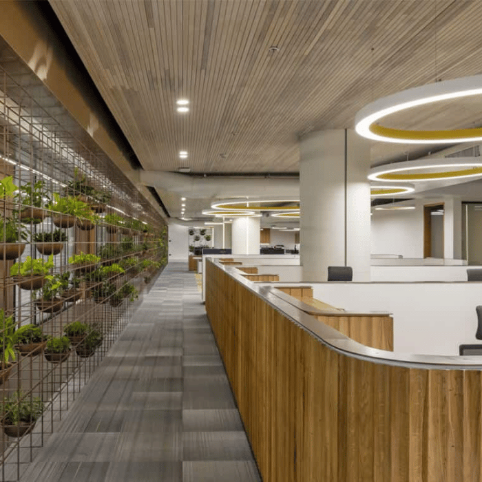 Một trong những xu hướng thiết kế nội thất văn phòng phổ biến nhất hiện nay là văn phòng xanh